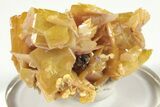 Lustrous Wulfenite Crystal Cluster - La Morita Mine, Mexico #205006-1